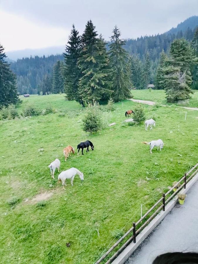 Secret Lake 533 At Oak Residence Smolyan Exterior foto