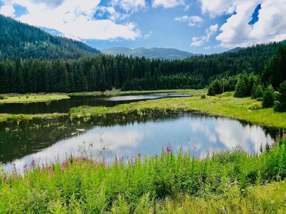 Secret Lake 533 At Oak Residence Smolyan Exterior foto